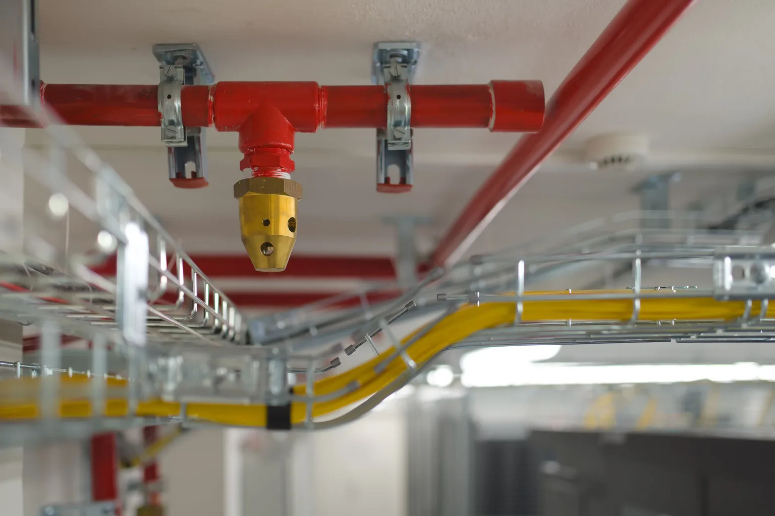 Sprinklerkopf an einer roten Löschwasserleitung über Kabeltrassen